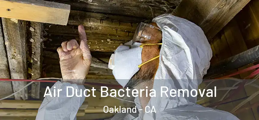  Air Duct Bacteria Removal Oakland - CA