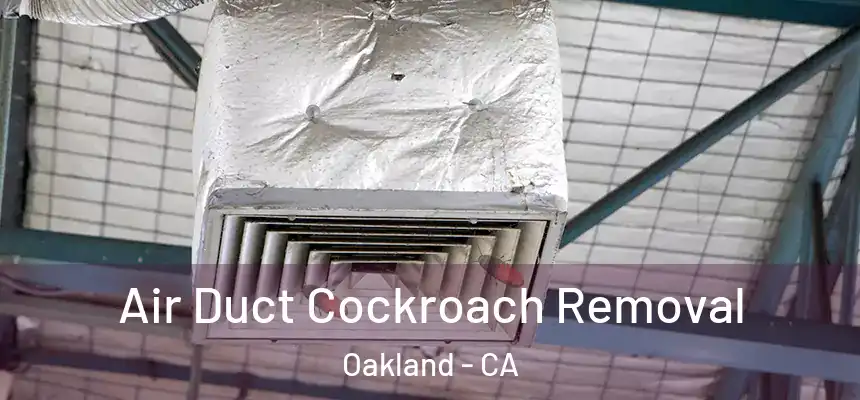  Air Duct Cockroach Removal Oakland - CA