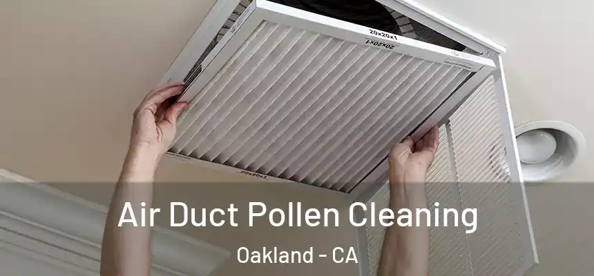  Air Duct Pollen Cleaning Oakland - CA