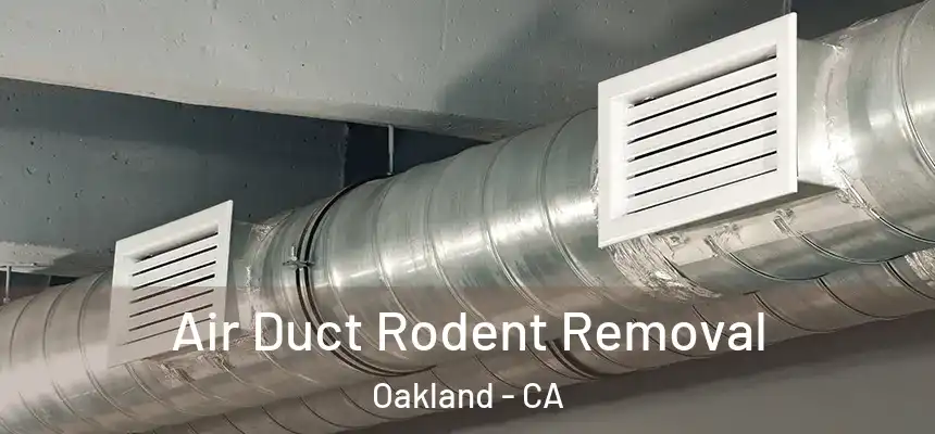  Air Duct Rodent Removal Oakland - CA
