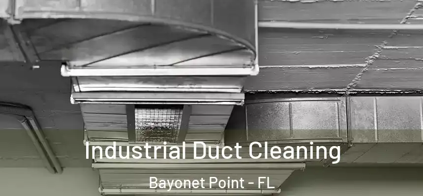  Industrial Duct Cleaning Bayonet Point - FL