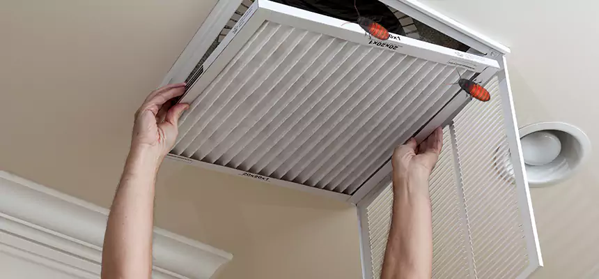 Preventive Cockroach-Proofing for Ducts in Oakland