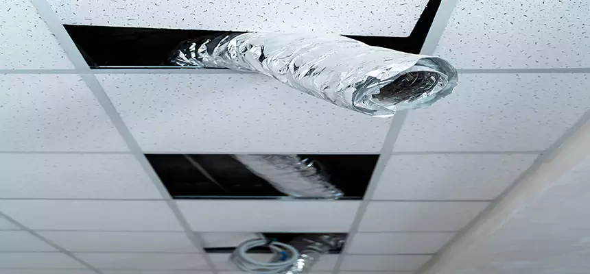 Our Air Duct Pet Hair Removal Services in Bayonet Point, FL