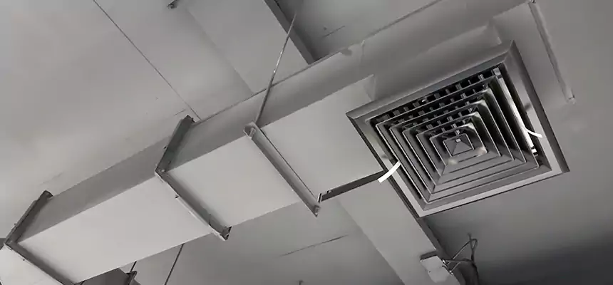 Our Rodent Droppings In Vents Services in Oakland, CA