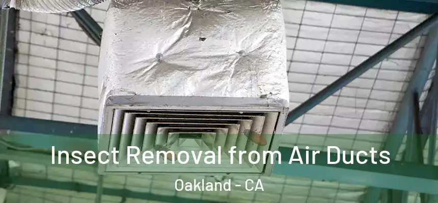 Insect Removal from Air Ducts Oakland - CA