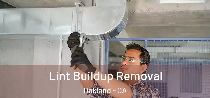  Lint Buildup Removal Oakland - CA
