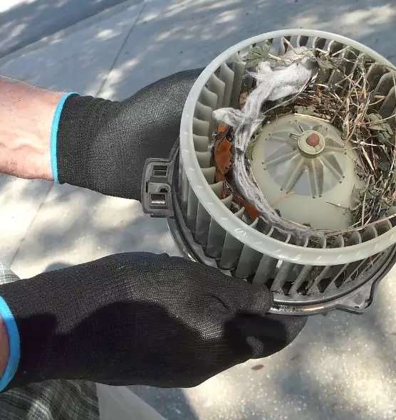 About Air Duct Rat Removal in Oakland, CA