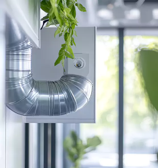 Professional Eco-Friendly Duct Cleaning Services in Bayonet Point, FL