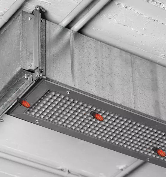 Affordable Insect Removal from Air Ducts in Oakland, CA