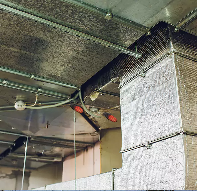 Why Homeowners & Businesses Trust Us Oakland, CA?