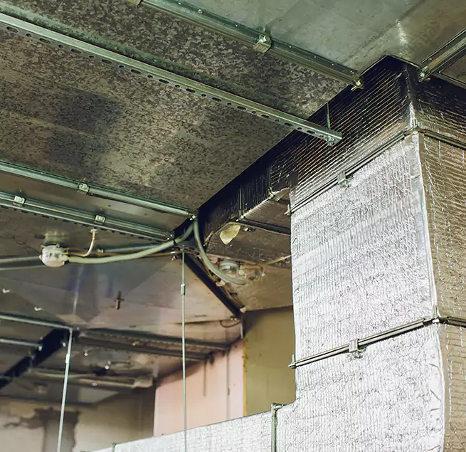 Why Homeowners & Businesses Trust Us in Oakland, CA?